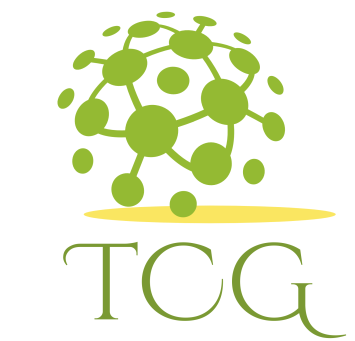 Transatlantic CPA Group